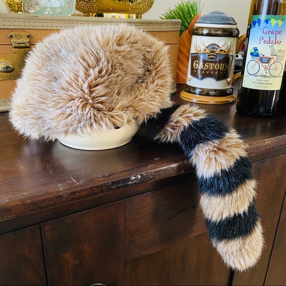 Disney Parks Raccoon Cap Hat 